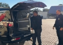 Casal é preso suspeito de integrar quadrilha que roubava cargas entre Ubiratã e Campo Mourão