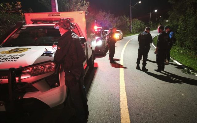 Casal vê cachorros às margens de rodovia em Araucária e encontra corpo de jovem morto a tiros