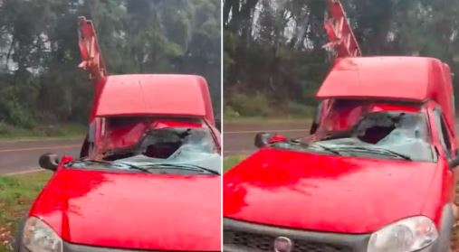 Passageiro sobrevive após árvore cair sobre o lado do carro em que estava durante tempestade no Paraná