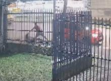 VÍDEO: passageira é puxada pelos cabelos e jogada na calçada por motorista de aplicativo em Curitiba
