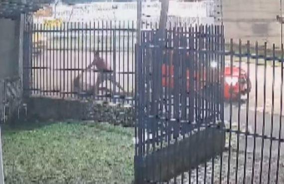 VÍDEO: passageira é puxada pelos cabelos e jogada na calçada por motorista de aplicativo em Curitiba